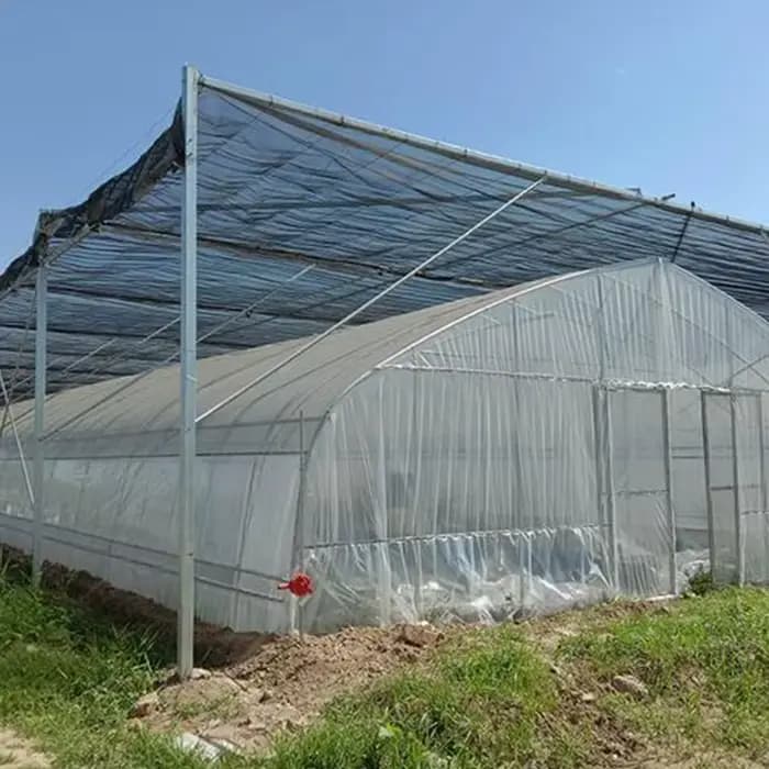 Film de serre agricole multi-spans à longue durée de vie, transparent en PE, pour la plantation de l