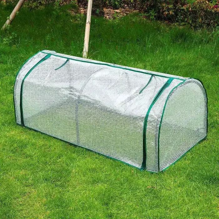Mini serre transparente pour plantes, en plastique imperméable, tente de culture efficace, protectio