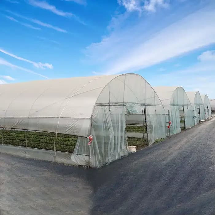 Kit de serre à simple portée en vente chaude avec cadre en acier galvanisé pour l'agriculture de jar