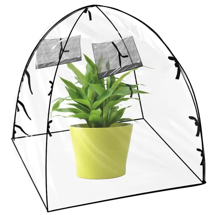 Serre pour intérieur et extérieur, serre transparente et pliable pour plantes, grand espace, conserv
