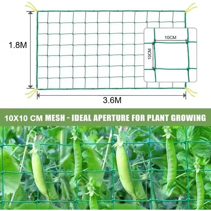 Grillage de treillis robuste pour plantes grimpantes d'extérieur, grilles de jardin, grilles carrées