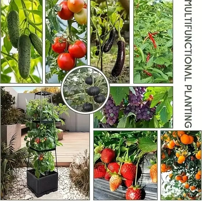 Tour à tomates avec bac de plantation auto-arrosant et treillis - pour plantes grimpantes