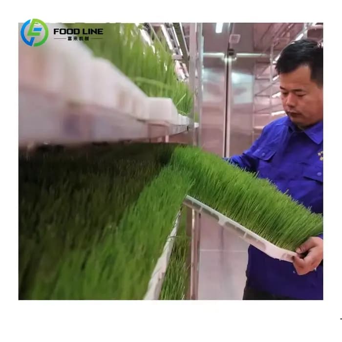 Serre conteneurisée hydroponique 40HQ personnalisée pour l'agriculture verticale et la culture de fourrage
