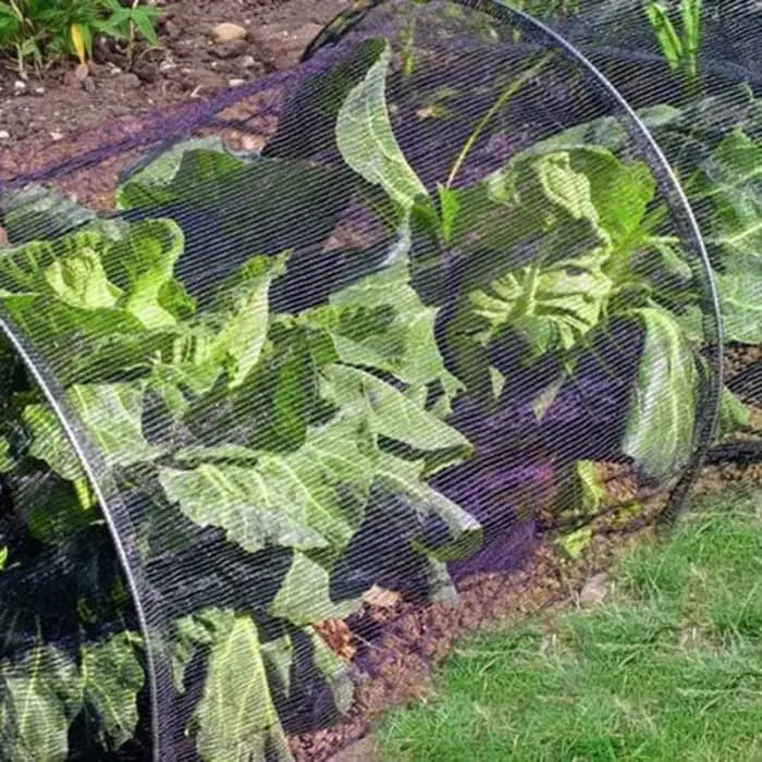 Tunnel de jardin serre agricole maille noire