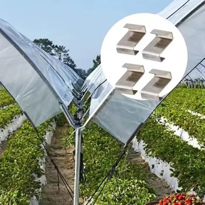 Clips de fixation pour vitrage de serre en acier inoxydable argenté