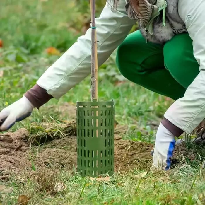 Protecteur de tronc d'arbre réglable pour diverses tailles d'arbres ou de plantes