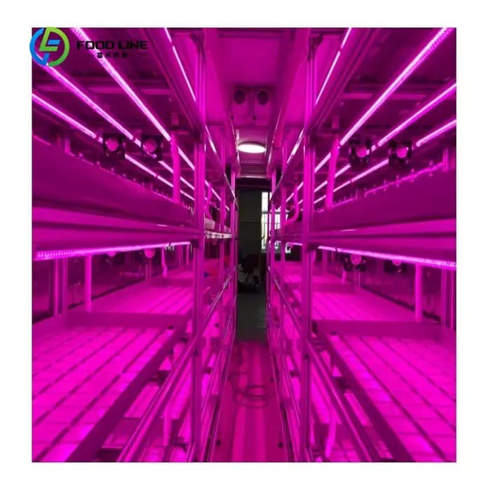 Serre conteneurisée sur mesure 40FT/20FT Superfarm avec système hydroponique NFT pour la culture de légumes-feuilles