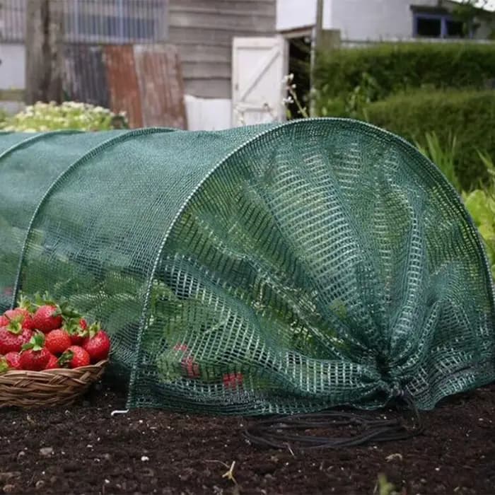 Tunnel de jardin en plastique pour serre agricole
