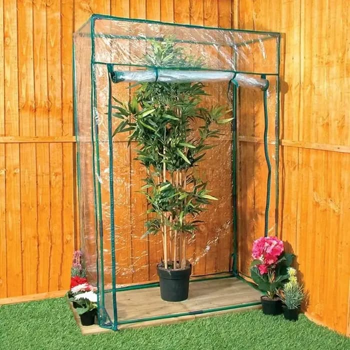 Mini-serre transparente pour plantes