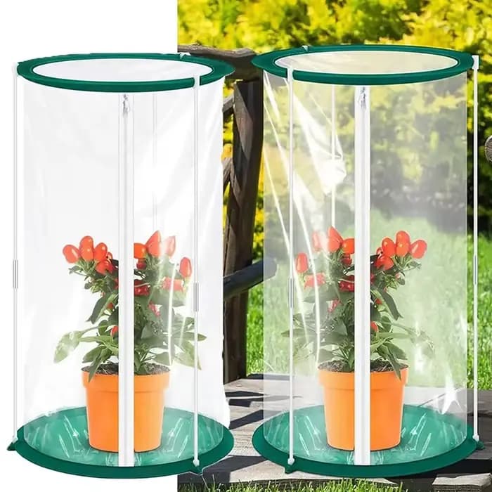 Cage à papillons C, habitat pour insectes
