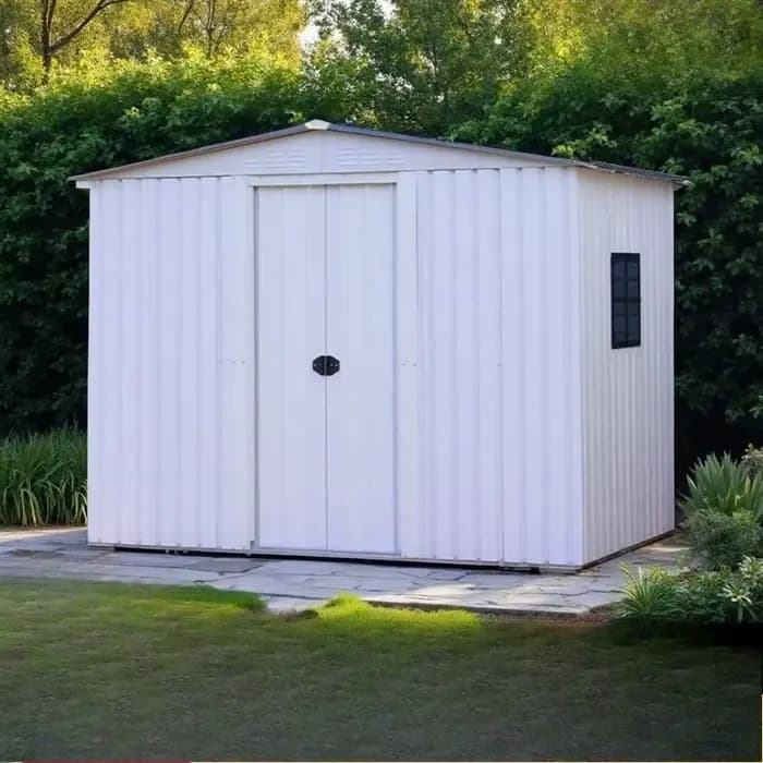 Grande hangar de rangement extérieur 6X6 pieds