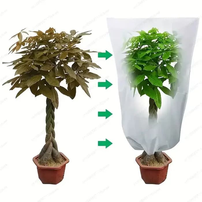 Couverture d'hivernage pour plantes