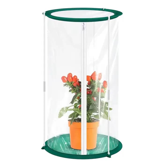 Cage à papillons C, habitat pour insectes