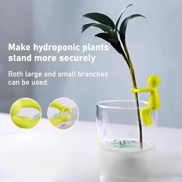 Cadre de Support pour plantes