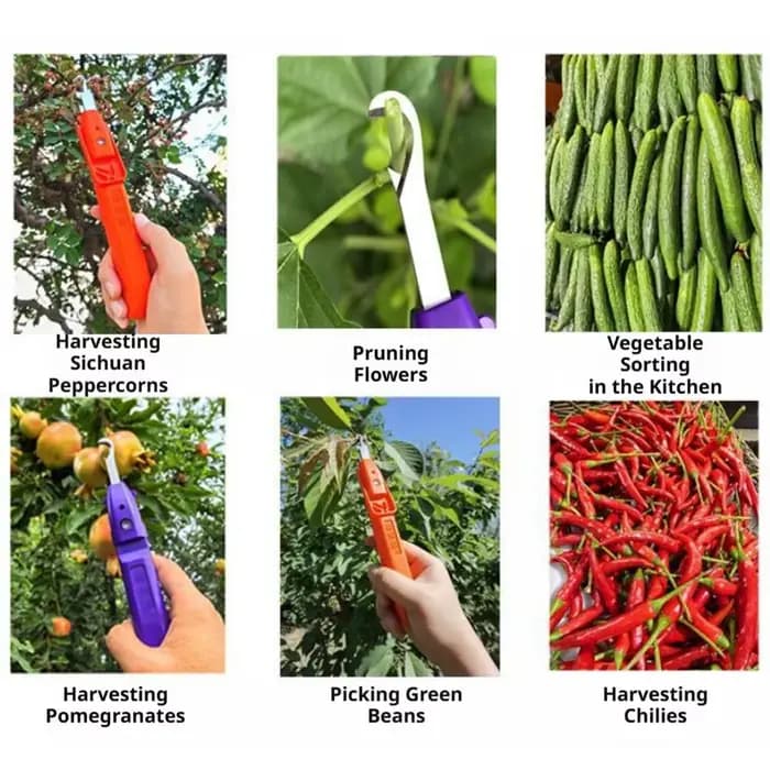 Mini sécateur portable pour la taille et la cueillette des fruits avec couvercle de protection