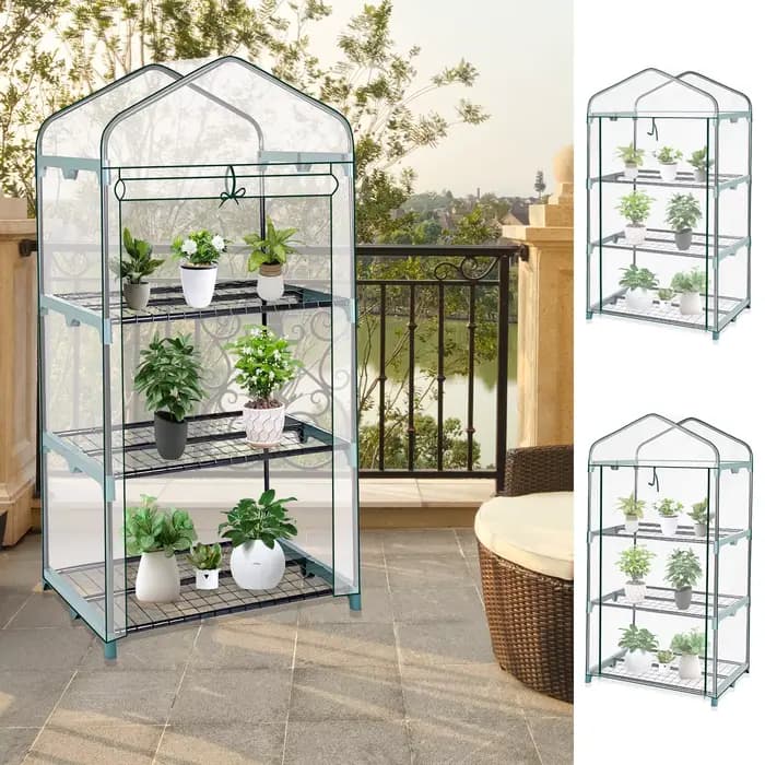 Serre de jardin transparente