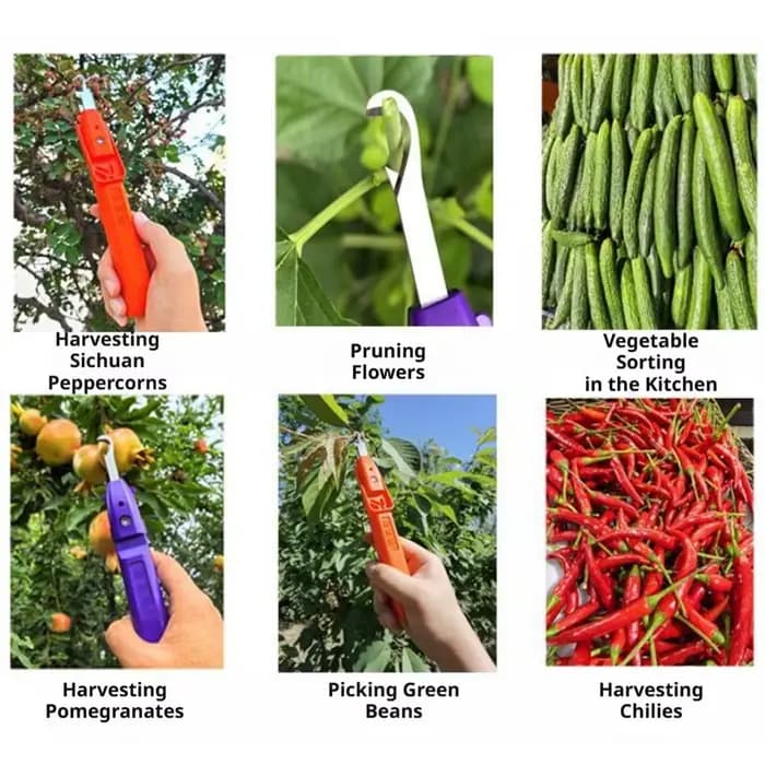 Mini sécateur portable pour la taille et la cueillette des fruits avec couvercle de protection rabattable