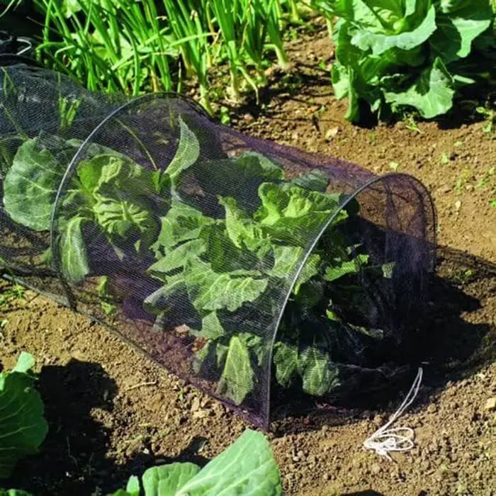 Tunnel de jardin serre agricole maille noire
