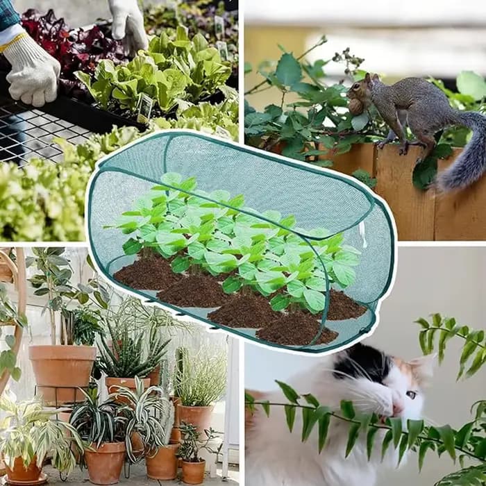 Couverture d'hiver pour plantes