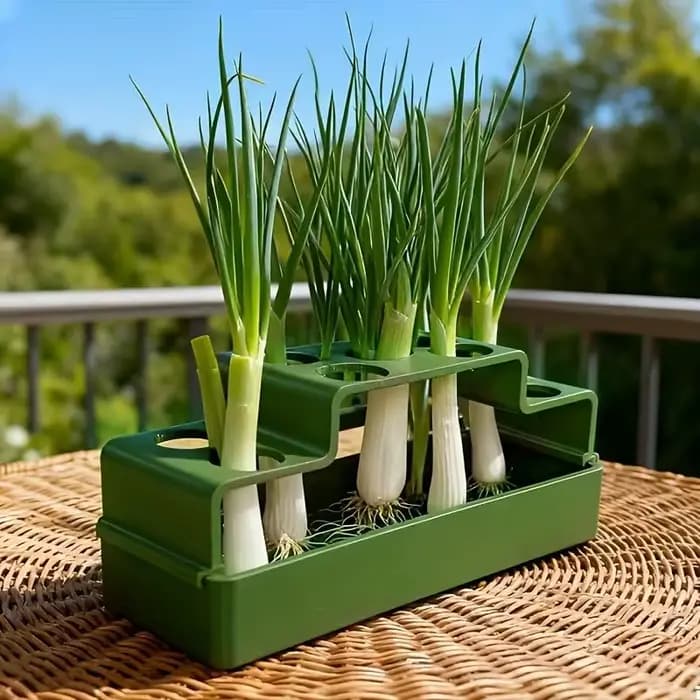 Un dispositif de plantation spécialement conçu pour les oignons verts