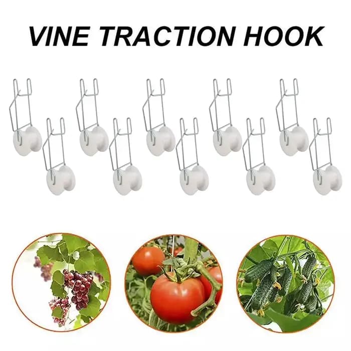 Kit de treillis pour tomates de serre avec corde de 15 m