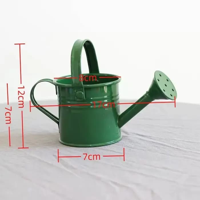 Arrosoir en métal pour jardin-Mini petit pot pulvérisateur
