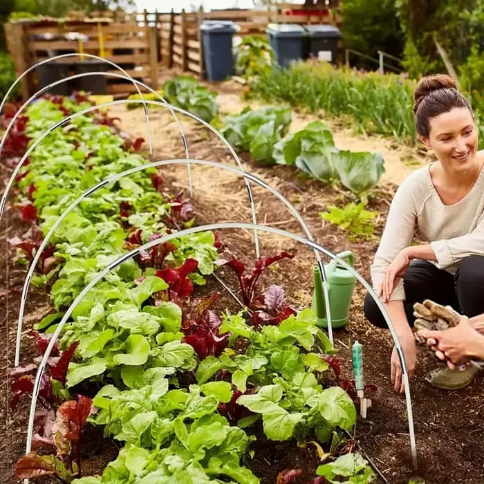 Cerceaux de Jardin pour Serre