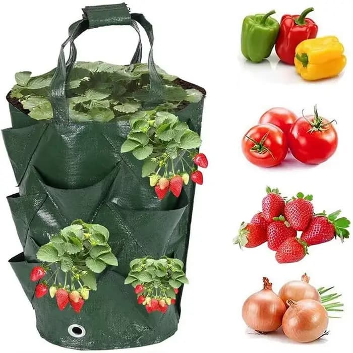 Sacs de culture suspendus pour fraises et tomates