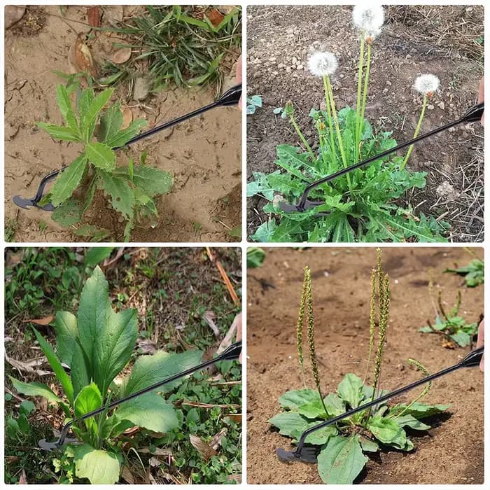 Houe de jardin fournitures agricoles outil de mauvaises herbes outils de jardinage ustensiles main herbicide