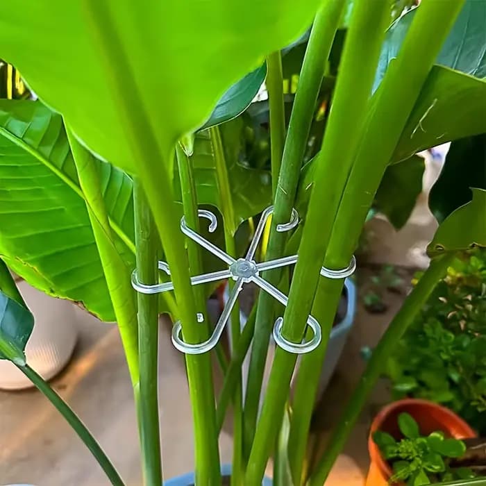 Poteau de Support Anti-renversement pour plantes vertes