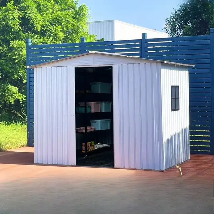 Grande hangar de rangement extérieur 6X6 pieds