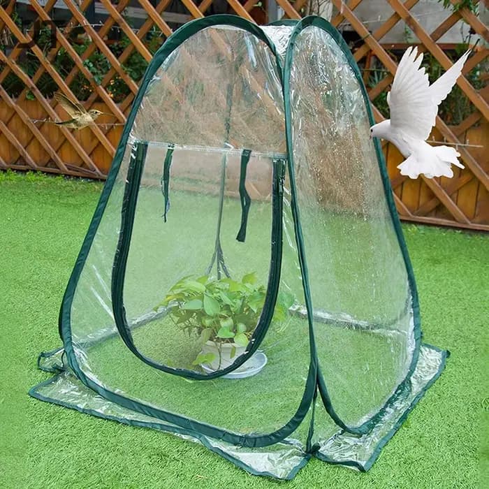 Tente de serre pour plantes en PVC transparent