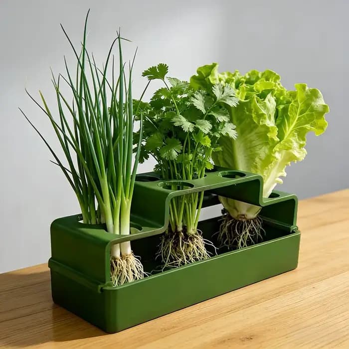 Un dispositif de plantation spécialement conçu pour les oignons verts