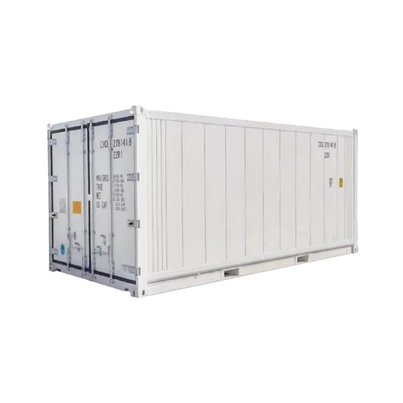 Conteneur de congélation et de stockage frigorifique commercial personnalisé pour supermarché, intelligent pour la préservation des fleurs
