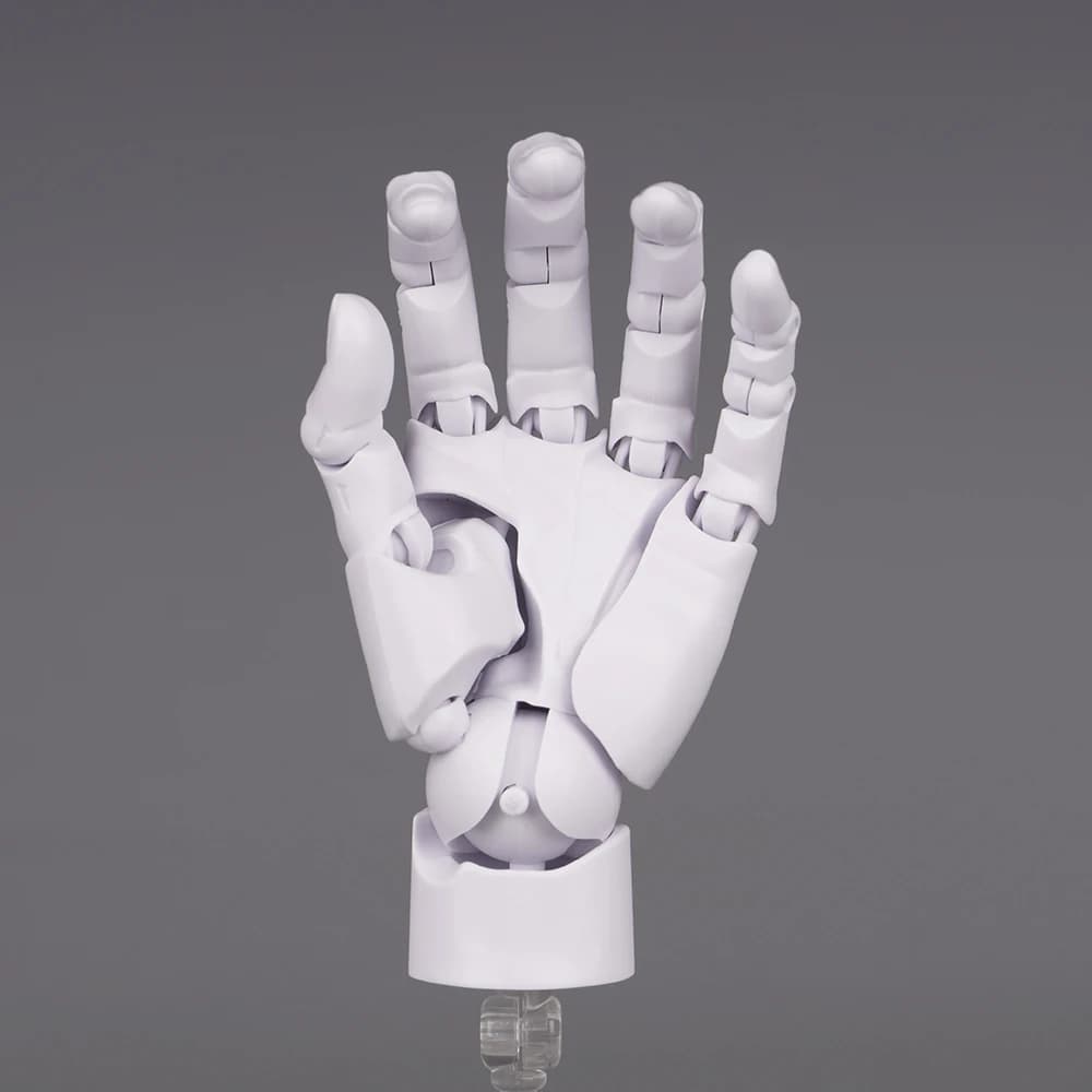 Modèle de main humaine de 10.5cm avec articulations mobiles des doigts, Simulation de paume 1:2, ornement de bureau, jouet, œuf torsadé, boîte aveugle Surprise