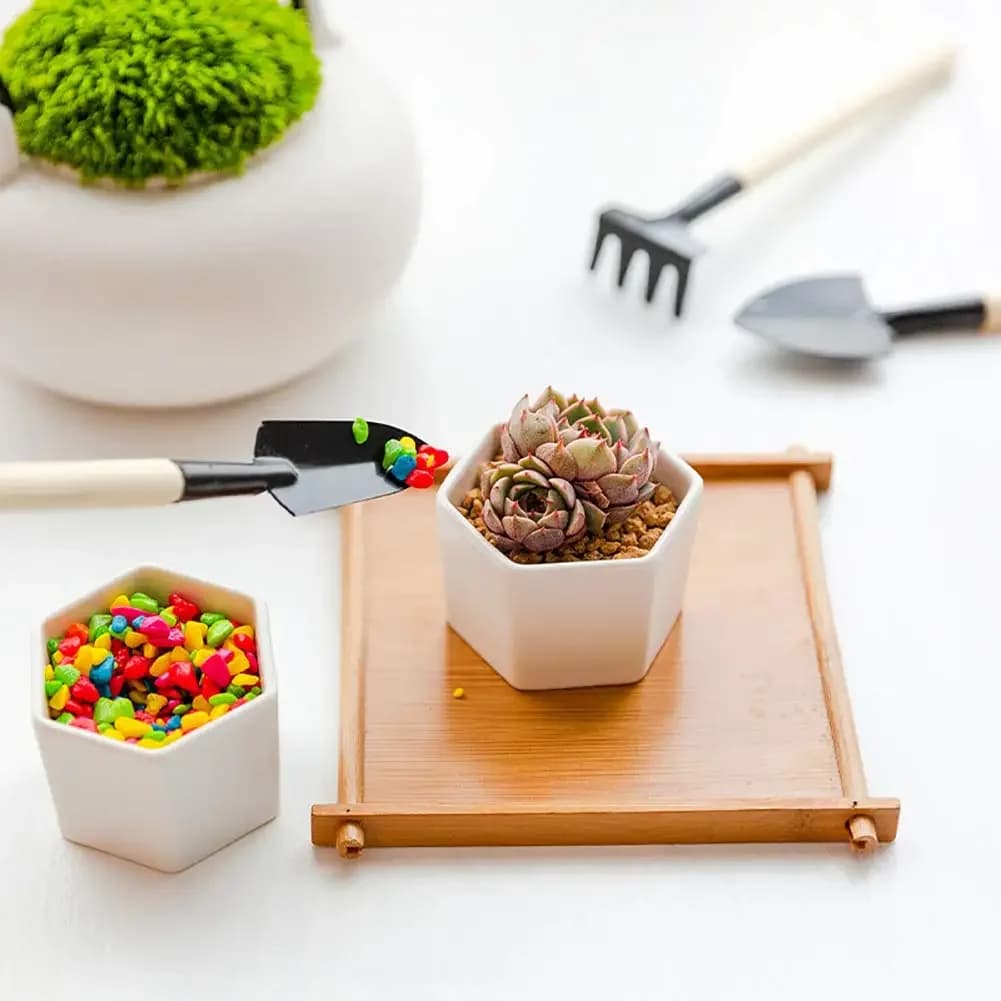 Outils de jardinage, ensemble de trois pièces, Mini outils de jardin, pelle multifonction, pelle de herse, plante domestique, pelle de sol en pin