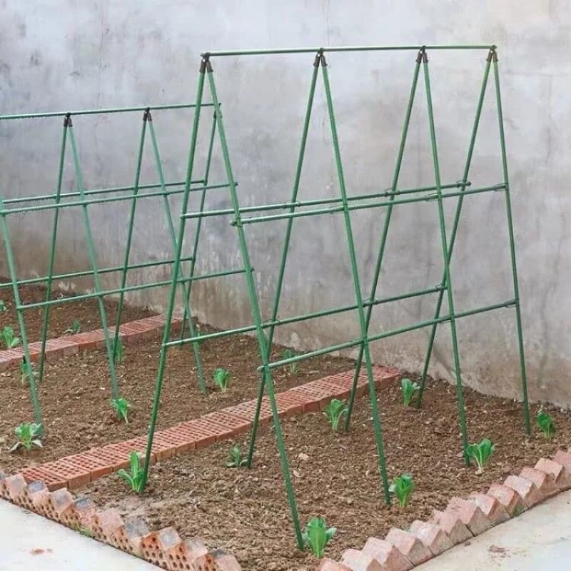 Support de pergola pour jardin vert - Tiges de support pour plantes en acier revêtu de PVC, supports de plantation pour potager, supports pour vignes