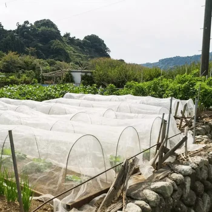 Arche de serre DIY pour tunnel végétal, arches de support en fibre de verre antirouille, idéales pou