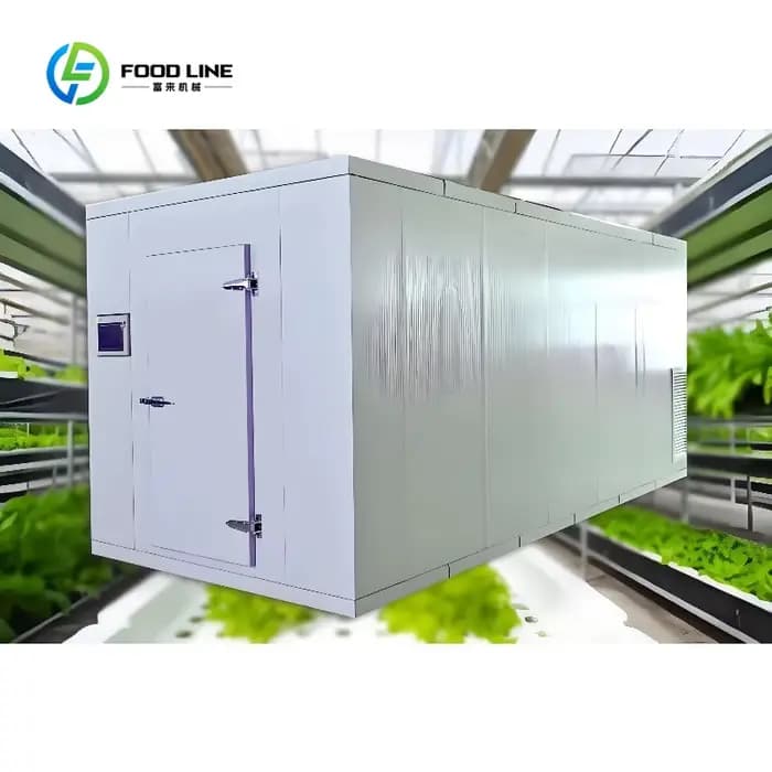 Serre conteneurisée sur mesure 40FT/20FT Superfarm avec système hydroponique NFT pour la culture de