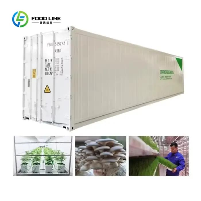 Serre conteneurisée hydroponique 40HQ personnalisée pour l'agriculture verticale et la culture de fo