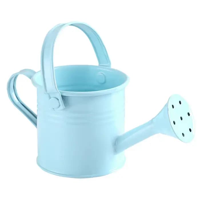 Arrosoir en métal, bouilloire à fleurs de jardin, Mini petit Pot de pulvérisation d'eau, saupoudrer