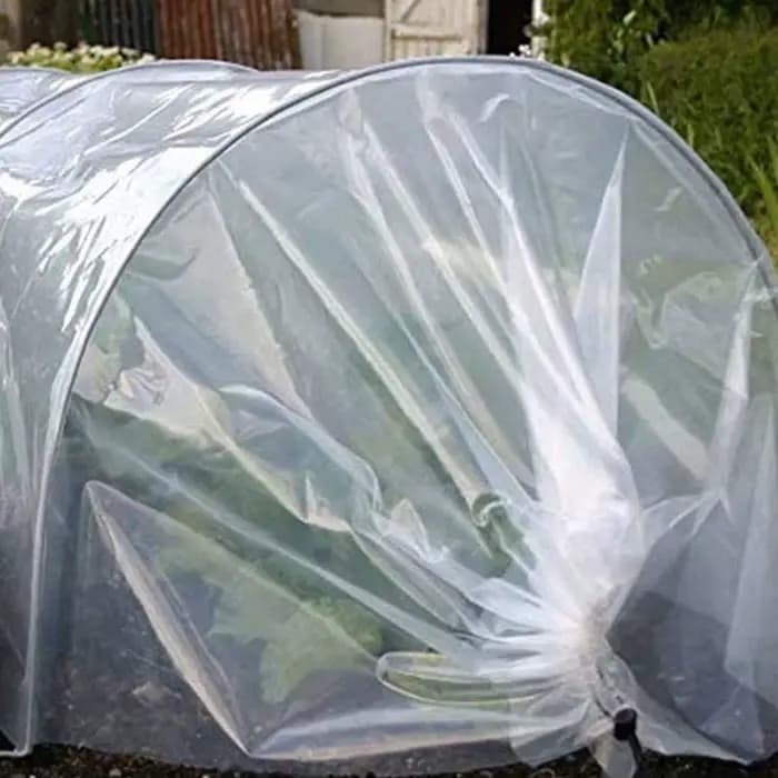 Film de couverture en plastique transparent pour culture agricole, serre végétale, coronavirus de l'