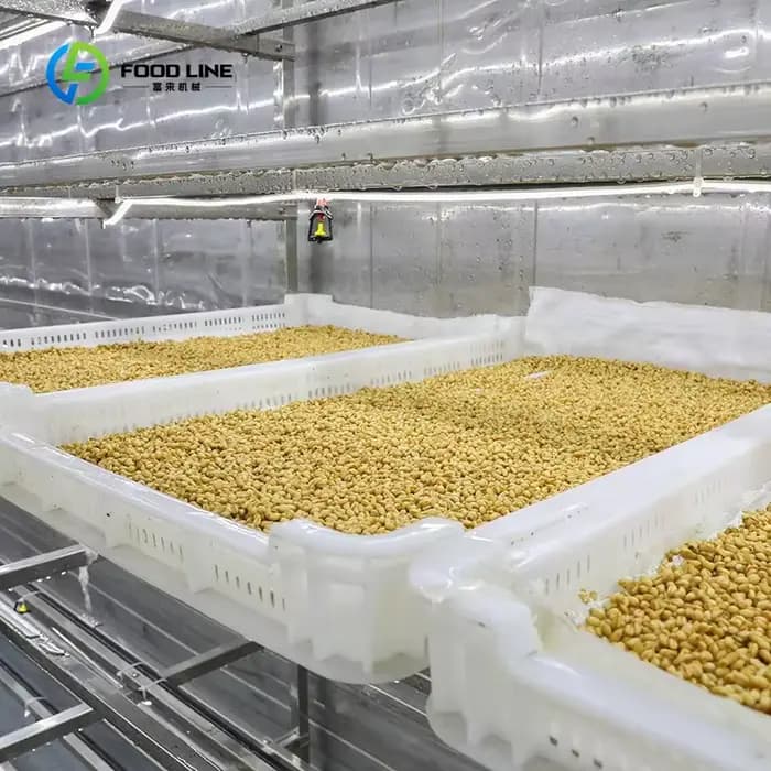 Serre conteneurisée hydroponique 40HQ personnalisée pour l'agriculture verticale et la culture de fourrage