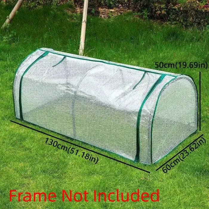 Mini-serre transparente pour plantes