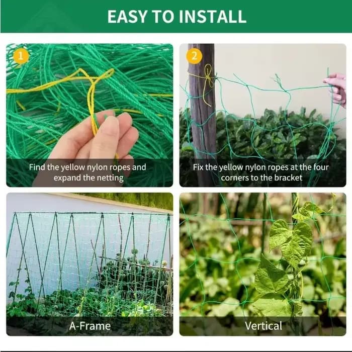 Grillage de treillis robuste pour plantes grimpantes d'extérieur