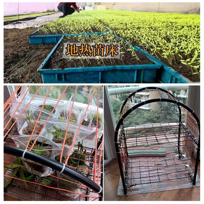 Ensemble de fils chauffants pour plantes succulentes