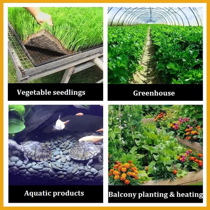 Ensemble de fils chauffants pour plantes succulentes