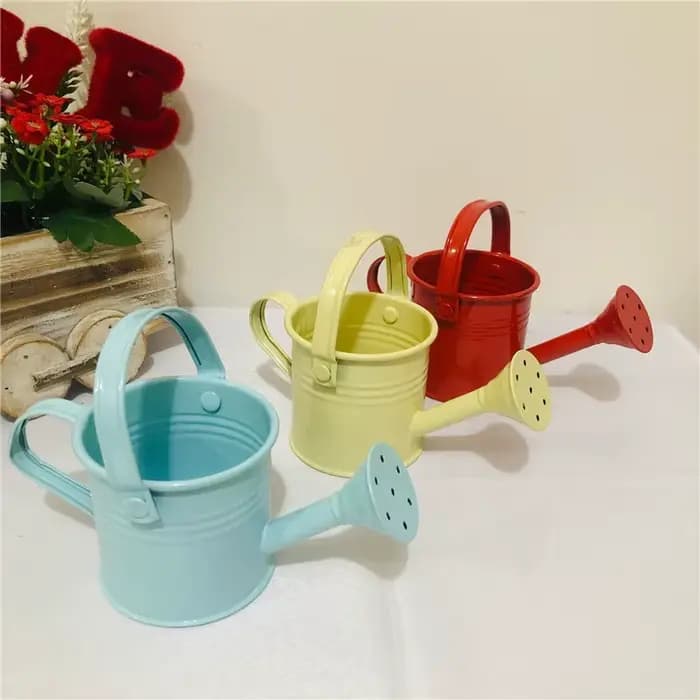Arrosoir en métal pour jardin-Mini petit pot pulvérisateur