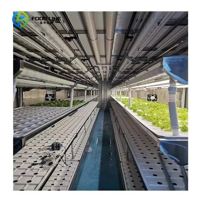 Serre conteneurisée sur mesure 40FT/20FT Superfarm avec système hydroponique NFT pour la culture de légumes-feuilles