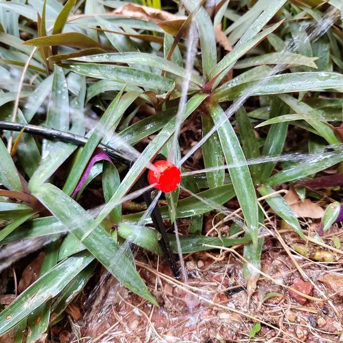 Système d'irrigation goutte à goutte pour serre